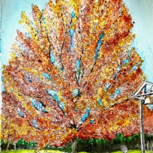 Varsovie 2025 - Patrice Dalix