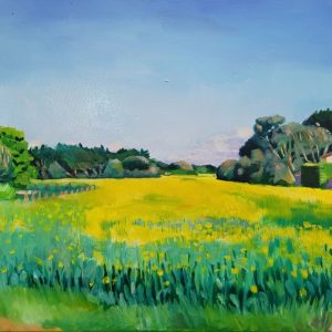 Champ de colza - Huile sur toile - 60x73 cm