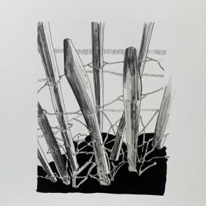 Clôture - Encre de chine - 30X20 cm